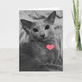Lächelnd Katze Valentine Karte
