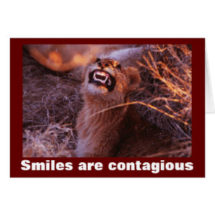 Lächelnd Lion Cub Lächeln sind ansteckend