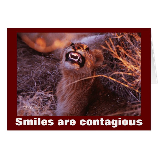 Lächelnd Lion Cub Lächeln sind ansteckend (Vorderseite (Horizontal))