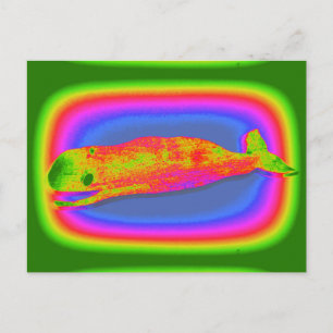 Lächelnd psychedelischer Wal Postkarte