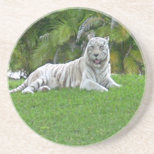 Lächelnd weiße Tiger und Palmen Untersetzer