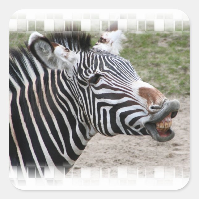 Lächelnd Zebra Stickers (Vorderseite)
