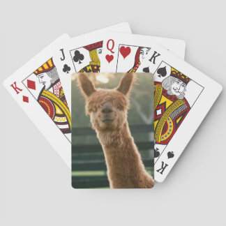 Lächelnde Alpaka-Spielkarten Spielkarten
