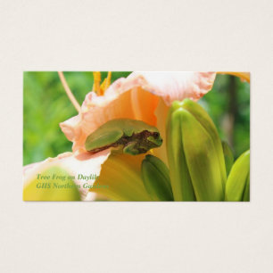 Lächelnde Baum-Frosch-Rosa-Lilie