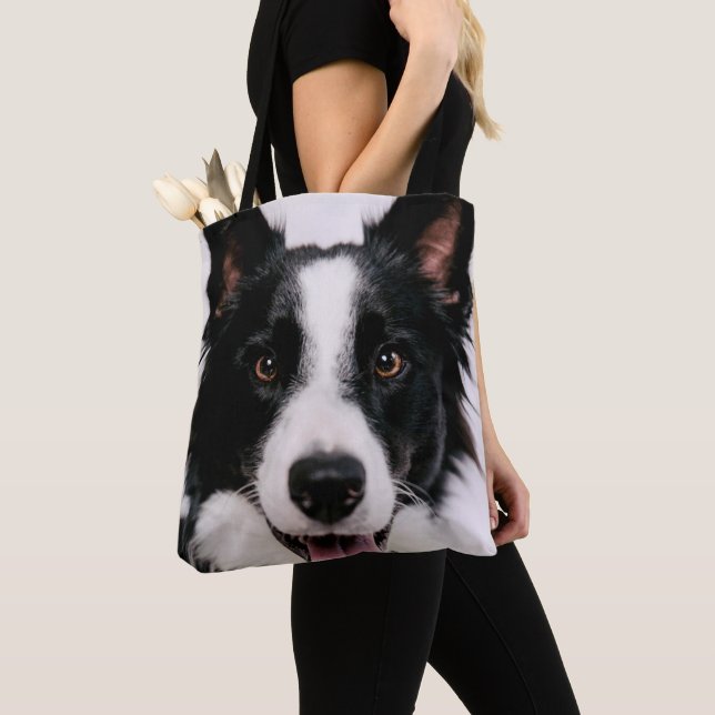 Lächelnde Border-Collie Getty Bild-| A (Von Nahem)