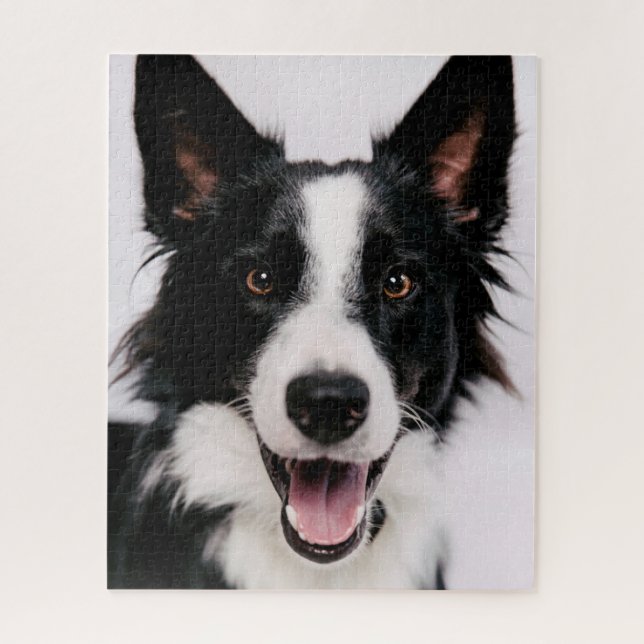 Lächelnde Border-Collie Getty Bild-| A Puzzle (Vertikal)