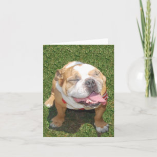 Lächelnde Bulldogge Karte