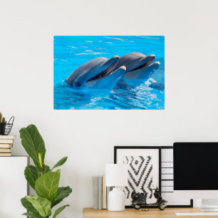 Lächelnde Delphine Poster