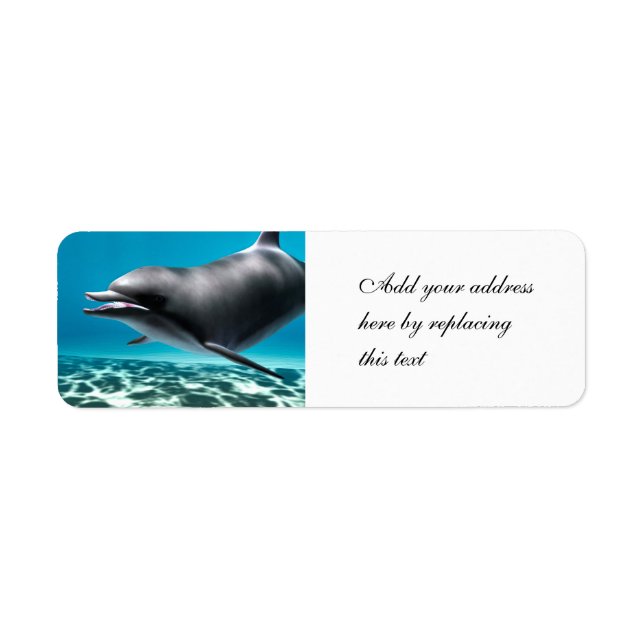 Lächelnde Dolphin (Vorne)