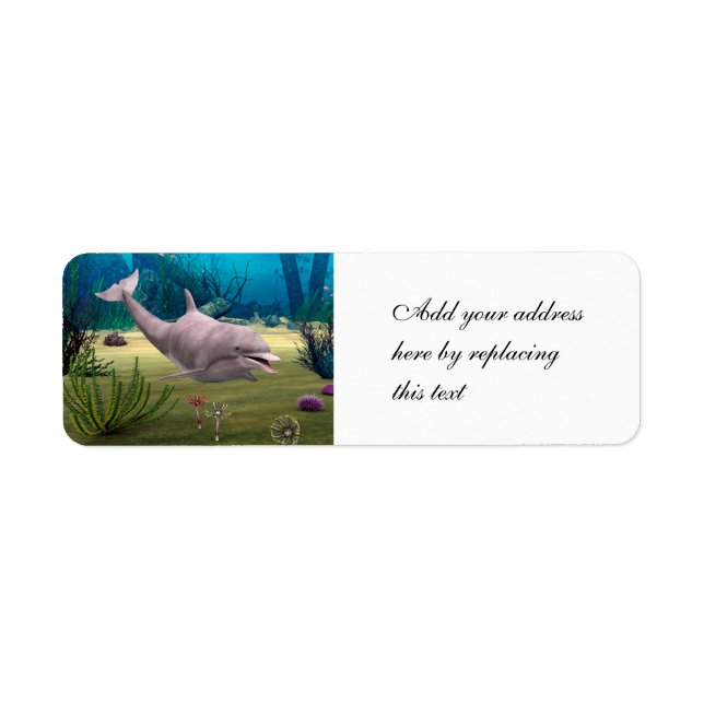 Lächelnde Dolphin (Vorne)