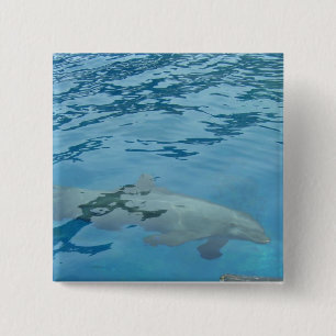 Lächelnde Dolphin Button