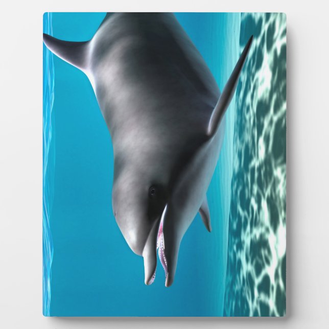 Lächelnde Dolphin Fotoplatte (Vorderseite)