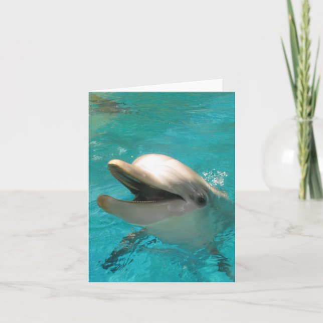 Lächelnde Dolphin Karte (Vorderseite)