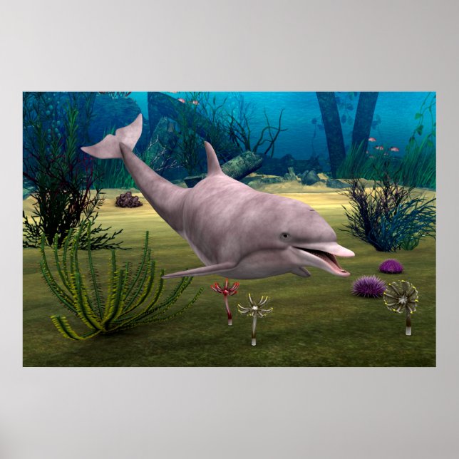 Lächelnde Dolphin Poster (Vorne)