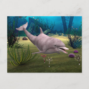 Lächelnde Dolphin Postkarte