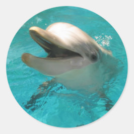 Lächelnde Dolphin Runder Aufkleber