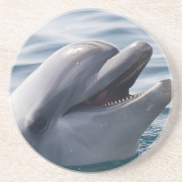 Lächelnde Dolphin Sandstein Untersetzer