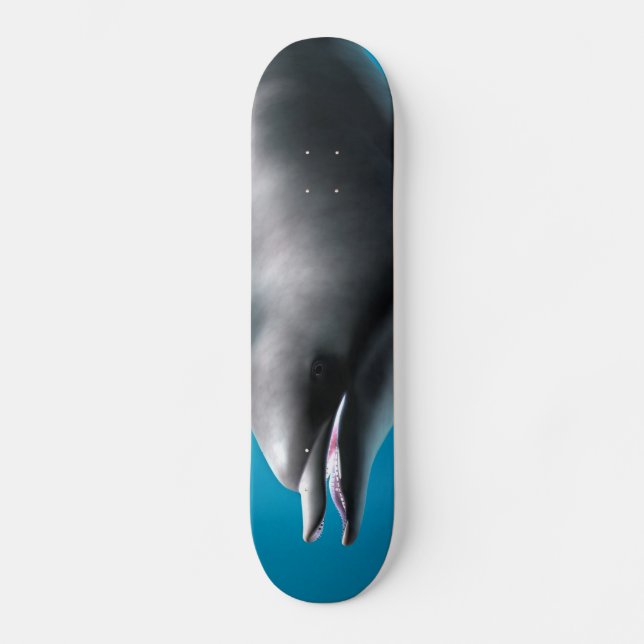 Lächelnde Dolphin Skateboard (Vorderseite)