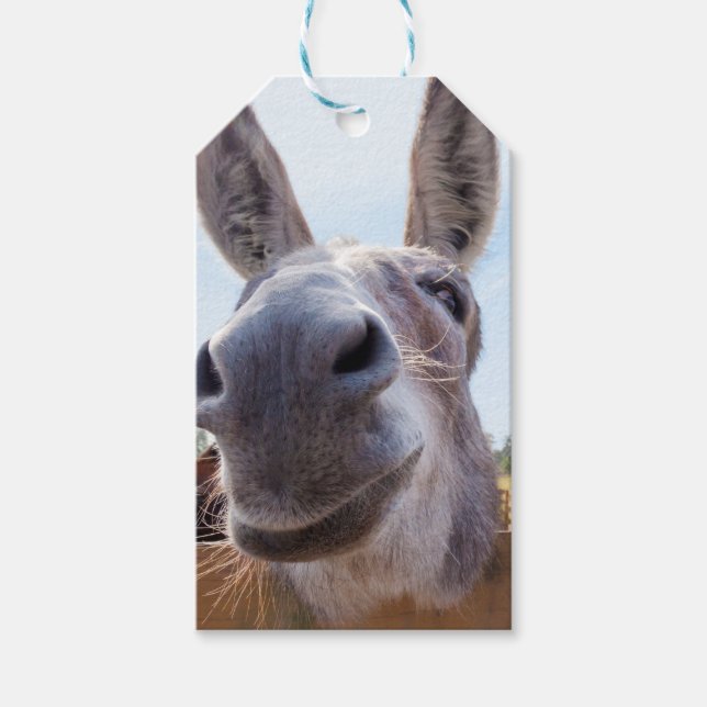 Lächelnde Donkey-Geschenkmarke Geschenkanhänger (Vorderseite)