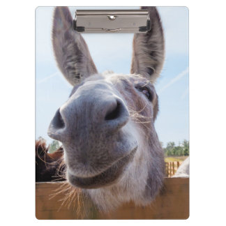Lächelnde Donkey-Zwischenablage Klemmbrett