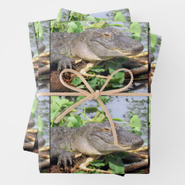 Lächelnde Gator Wrapping Paper Sheets Geschenkpapier Set
