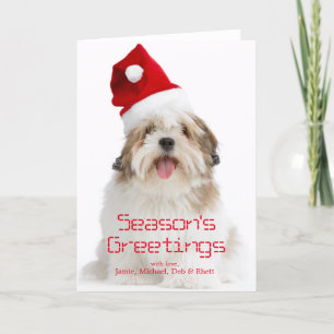 Lächelnde Hundetragende Weihnachtsmannmütze Lhasas Feiertagskarte