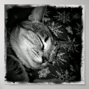 Lächelnde Indizien B+W Poster