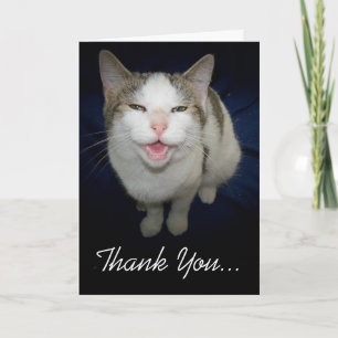 Lächelnde Katze Dankeschön-Karte Dankeskarte