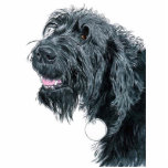 Lächelnde Labradoodle Skulptur Freistehende Fotoskulptur<br><div class="desc">Lächelndes Labradoodle</div>