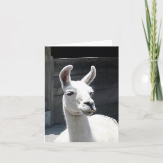 Lächelnde Lama-Blankenkarte Karte