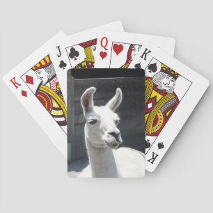 Lächelnde Lama-Spielkarten Spielkarten