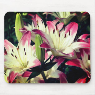 Lächelnde Lily-Blume Mousepad