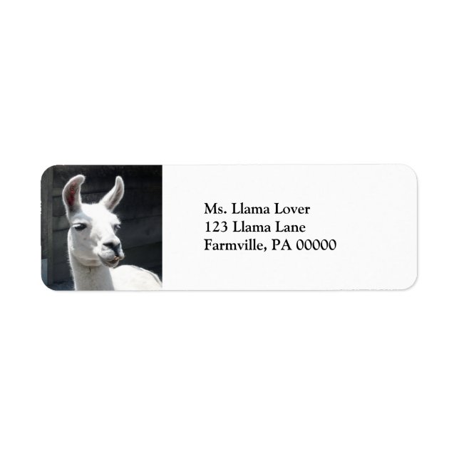 Lächelnde Llama-Rücksendeadressen-Aufkleber (Vorne)