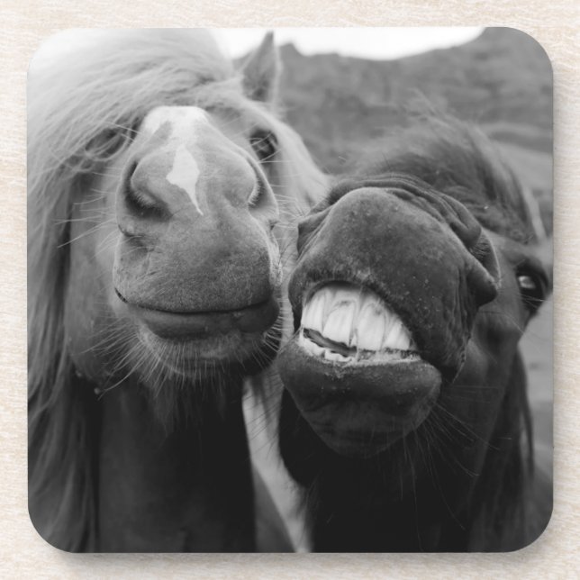 Lächelnde Pferde Getty Bild-| Getränkeuntersetzer (Vorderseite)