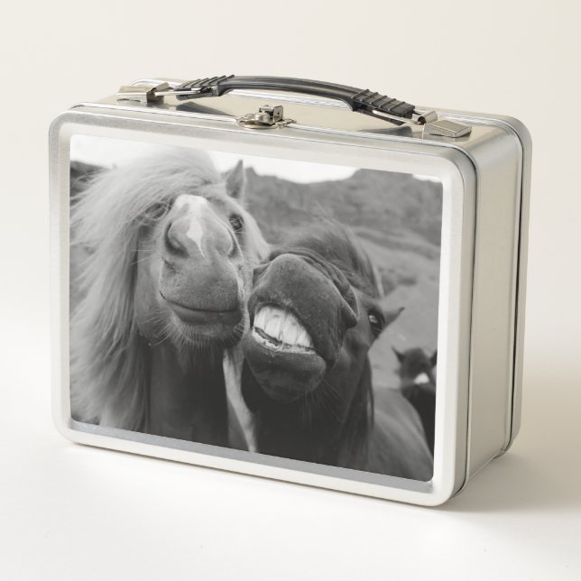 Lächelnde Pferde Getty Bild-| Metall Lunch Box (Vorderseite)