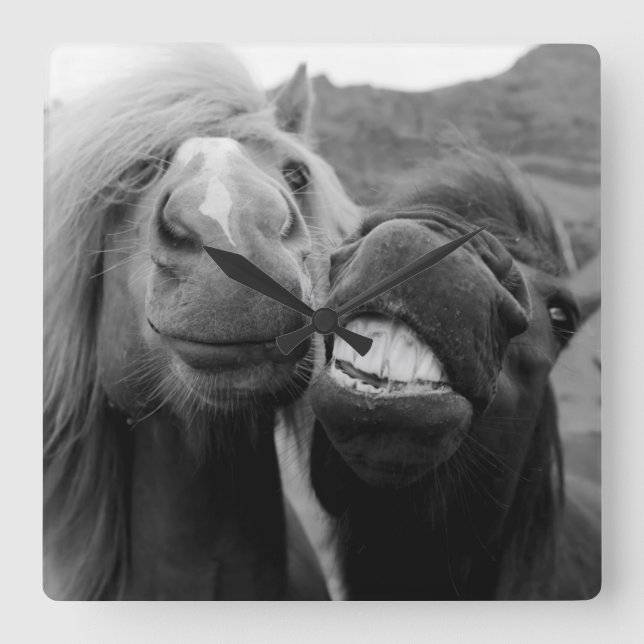 Lächelnde Pferde Getty Bild-| Quadratische Wanduhr (Vorderseite)