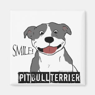 Lächelnde Pitbull (blau und weiß) Magnet