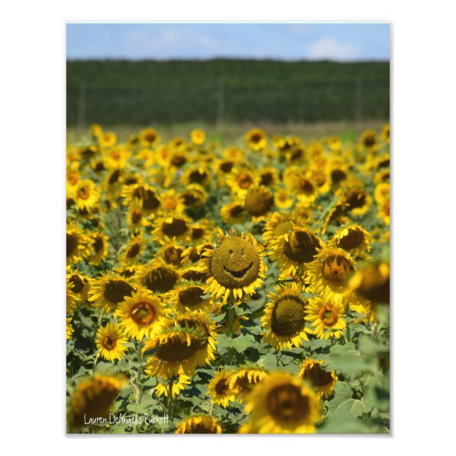 Lächelnde Sonnenblume - 11x14 Foto drucken (Vorne)