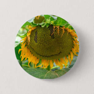 Lächelnde Sonnenblume Button