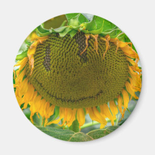 Lächelnde Sonnenblume Magnet