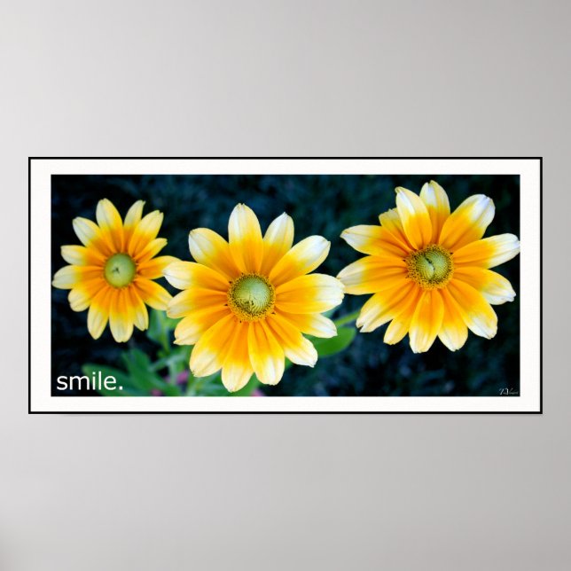 Lächelnde Sonnenblumen Poster (Vorne)
