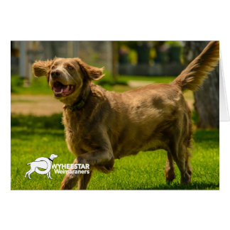 Lächelnde Stackhouse