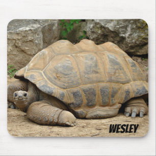 Lächelnde Tortoise  Mousepad