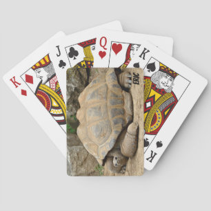 Lächelnde Tortoise Spielkarten