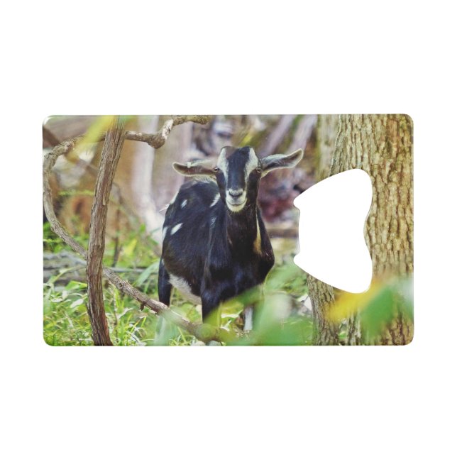 lächelnde Ziege Geldbeutel Flaschenöffner (Vorderseite (Horizontal))
