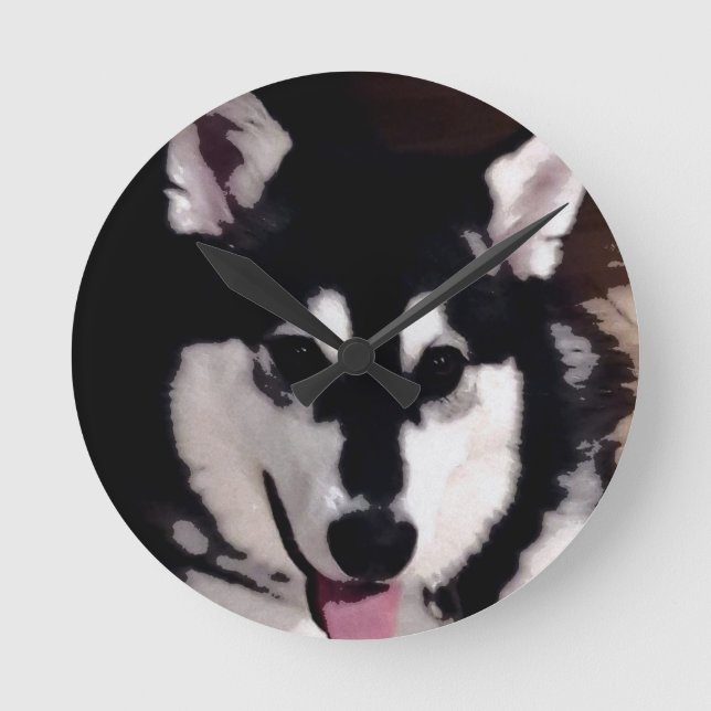 Lächelnder alaskischer Schwarzweiss-malamute Runde Wanduhr (Vorderseite)