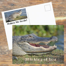 Lächelnder Alligator denkt an dich