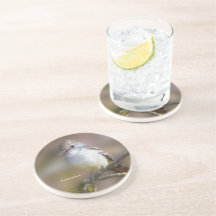 Lächelnder ash-gethroter Flycatcher auf der Zweigs