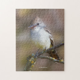 Lächelnder ash-gethroter Flycatcher auf der Zweigs Puzzle