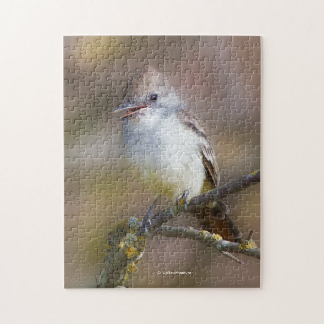 Lächelnder ash-gethroter Flycatcher auf der Zweigs Puzzle (Vertikal)